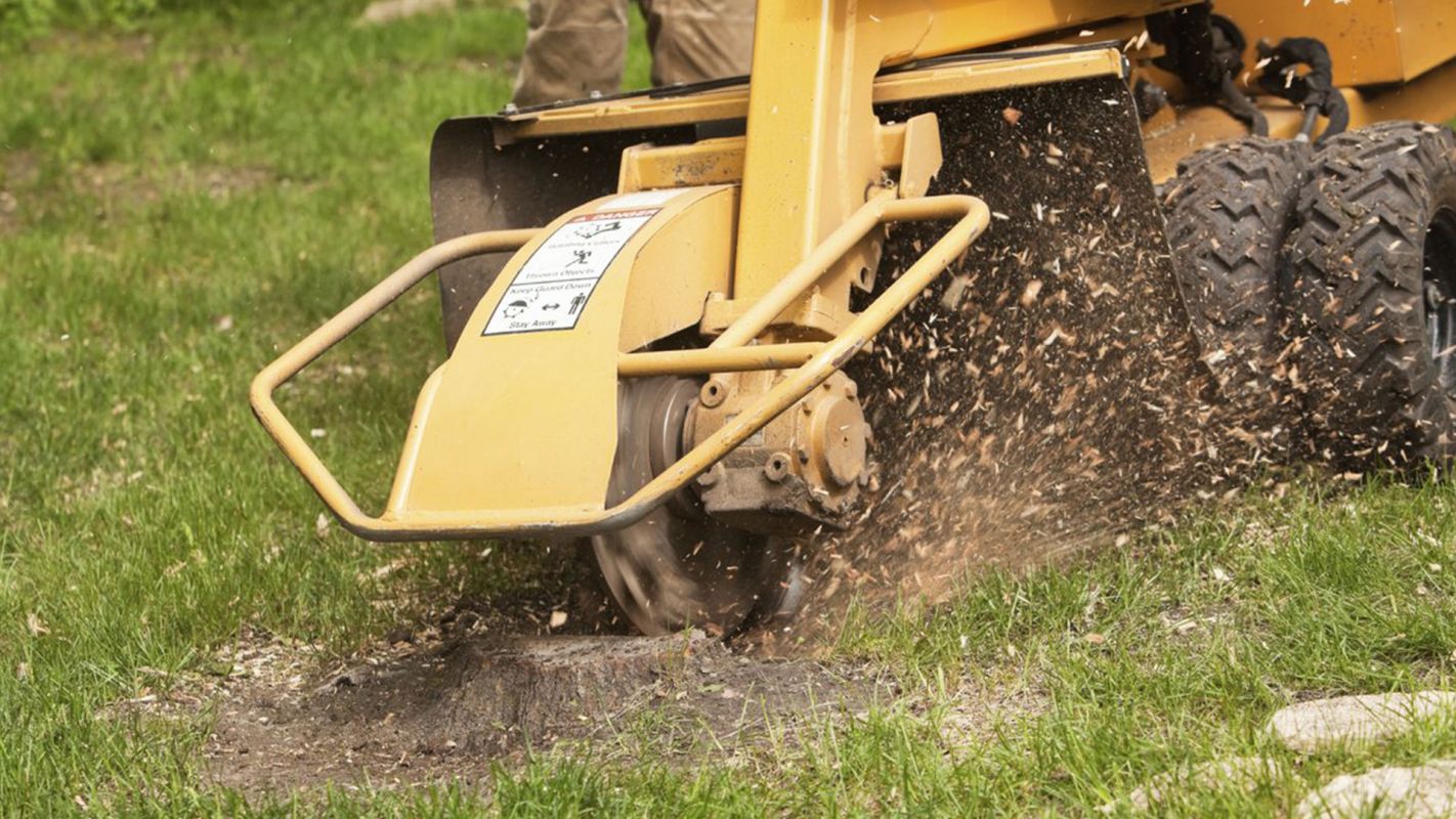 Stump Grinding Cost Fairfield County CT