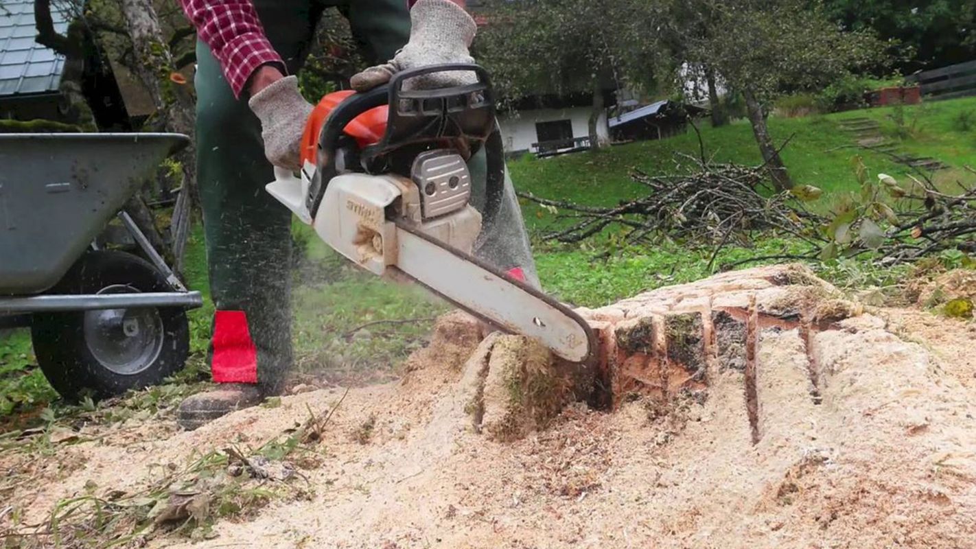 Stump Removal Fairfield County CT