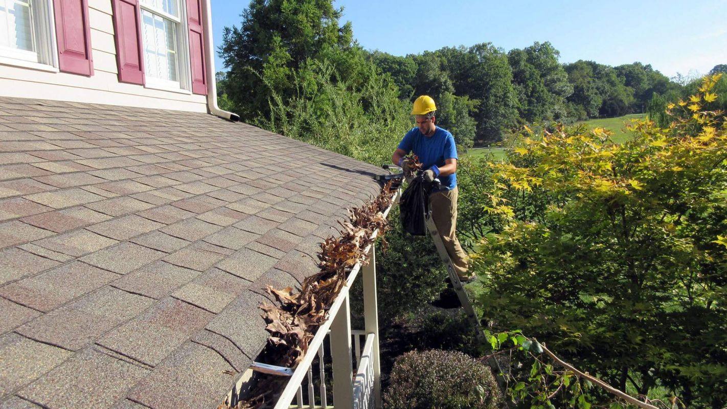 Gutter Cleaning Services Arlington TX