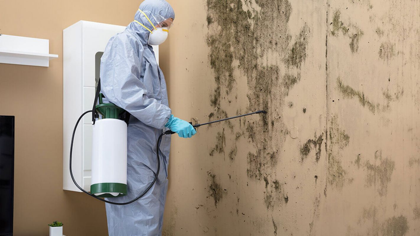 Mold Damage Repair Service Jacksonville AR