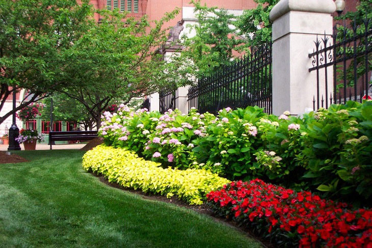 Complete Landscaping Services Duluth GA