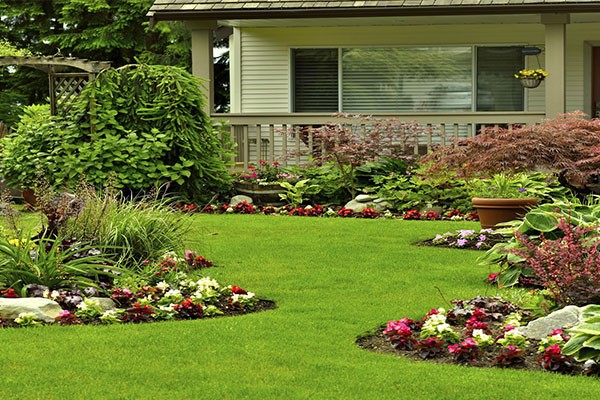 Complete Landscaping Services Duluth GA