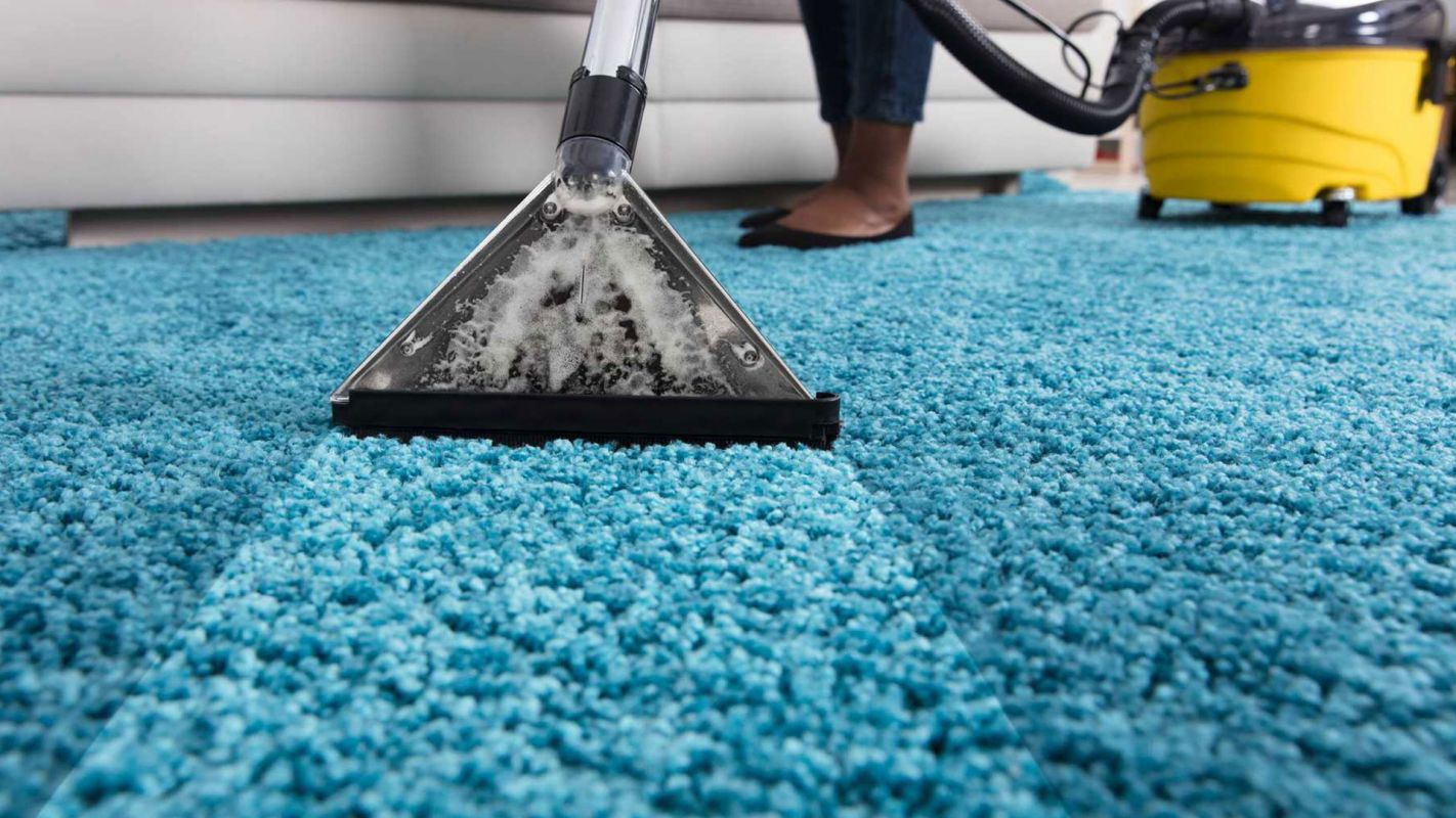 Carpet Cleaning Services Arlington County VA