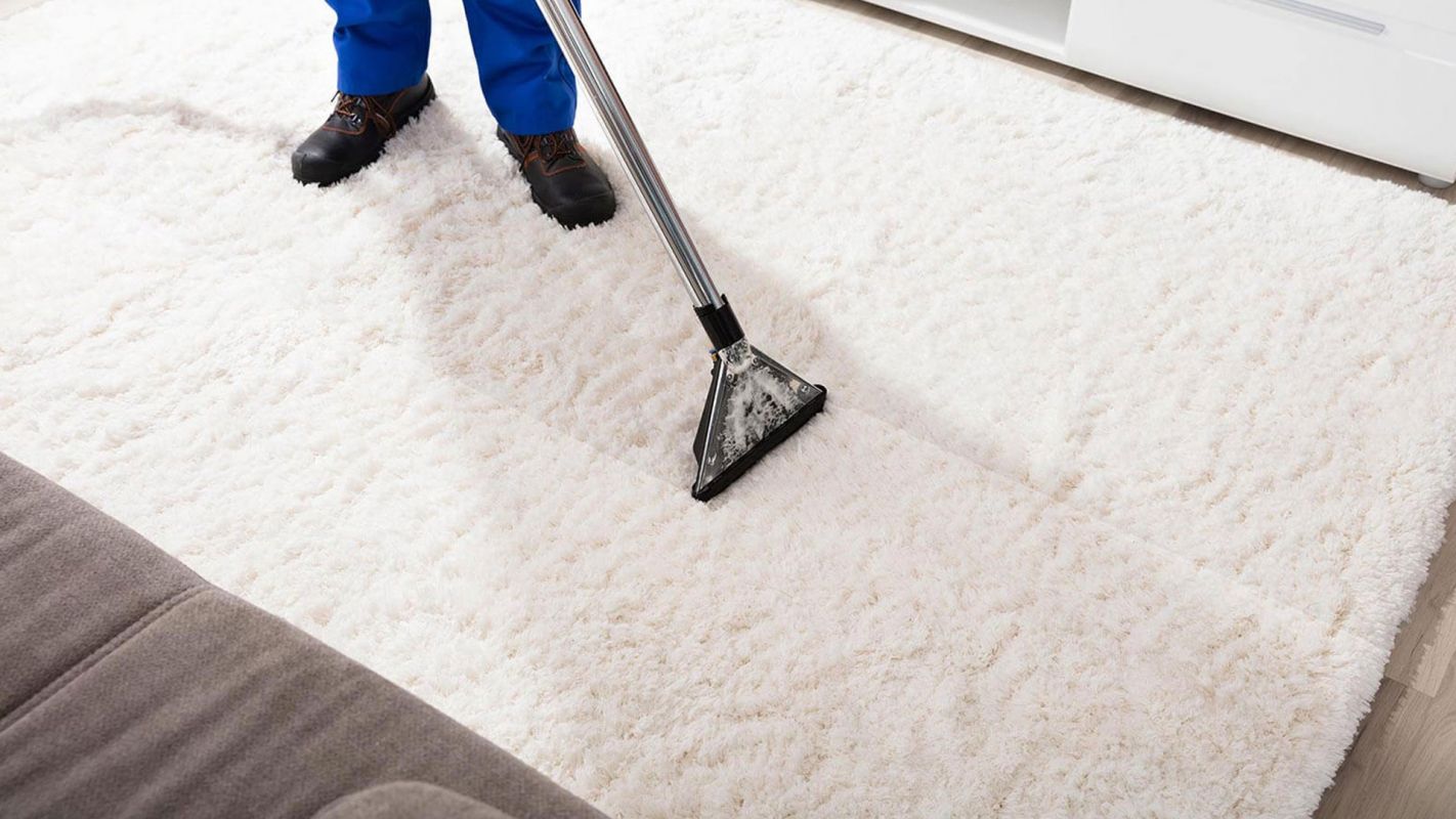 Eco-Friendly Rug Cleaning Arlington County VA