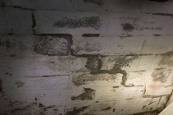 Foundation Crack Repair Services