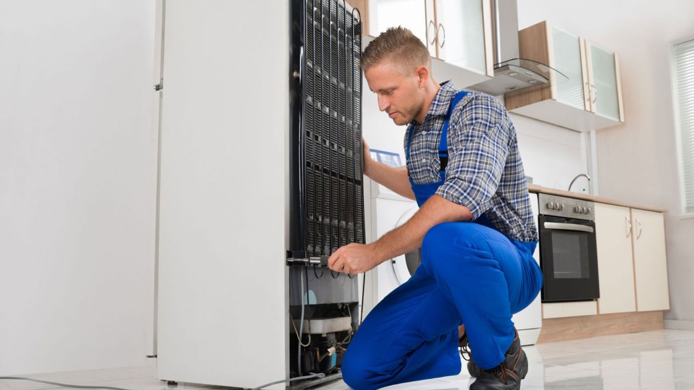 Refrigerator Repair Service Alexandria VA