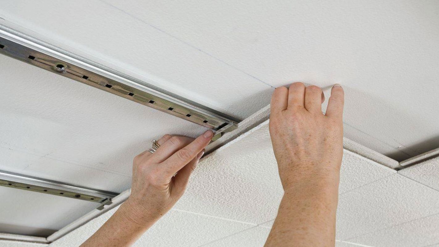 Ceiling Inspection Dallas TX