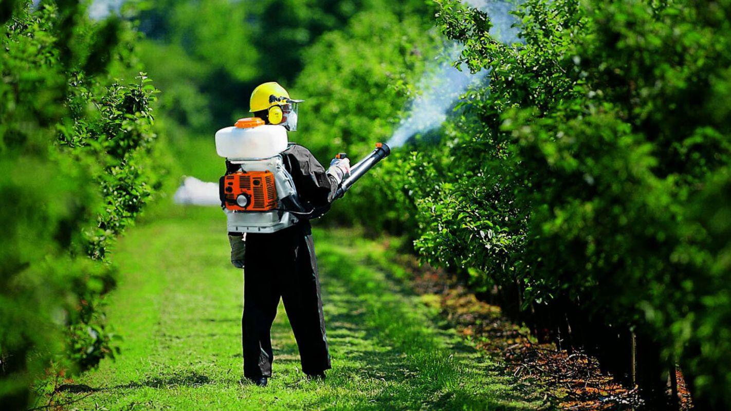 Tree Spraying Service Campbell CA