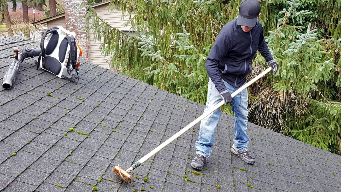 Roof Cleaning Services Parkland FL