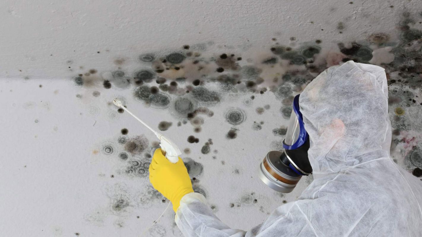 Mold Removal Columbia SC