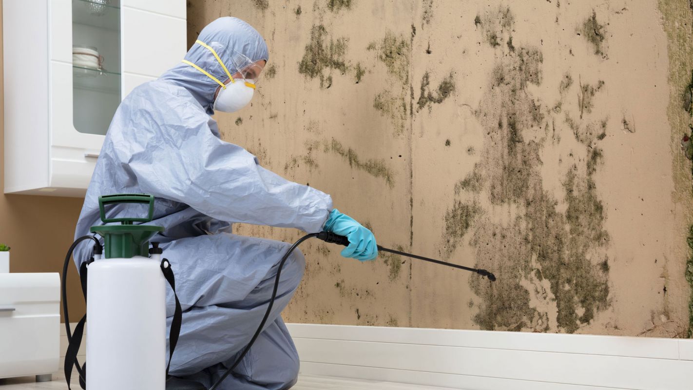 Mold Remediation Services Irving TX