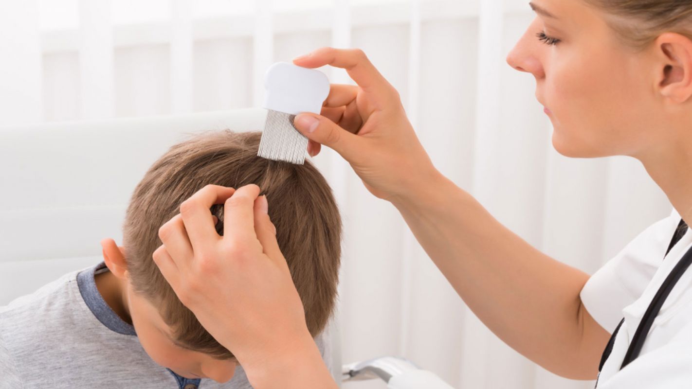 Lice Removal Services Trumbull CT