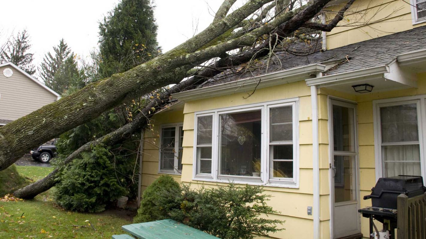 Storm Damage Restoration Services Lowell AR