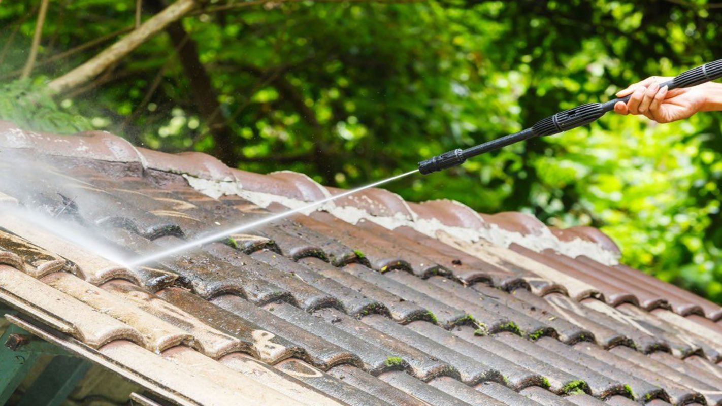 Affordable Roof Soft Washing Georgetown TX
