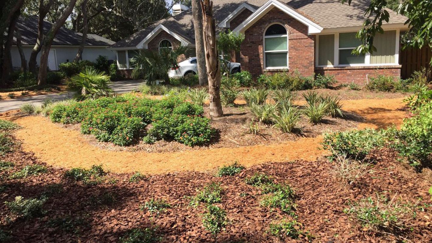 Landscape Design Jacksonville FL