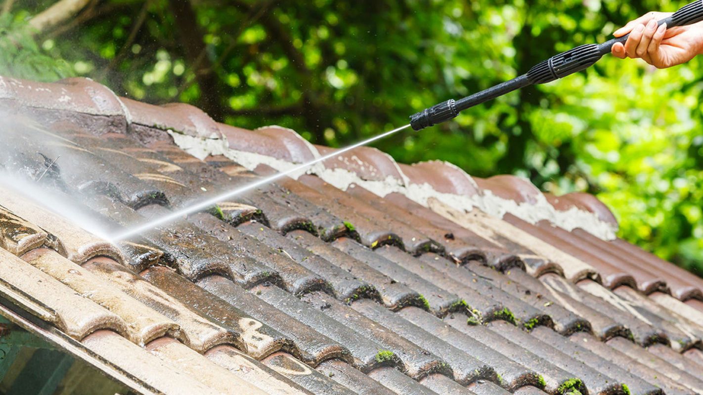 Affordable Roof Washing Services League City TX