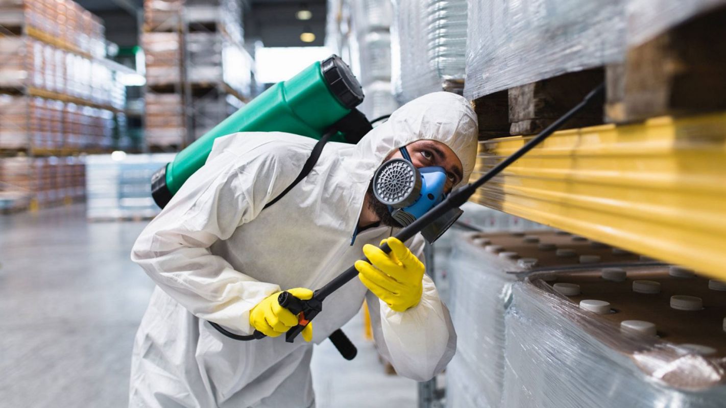 Commercial Pest Control Service Manhattan NY