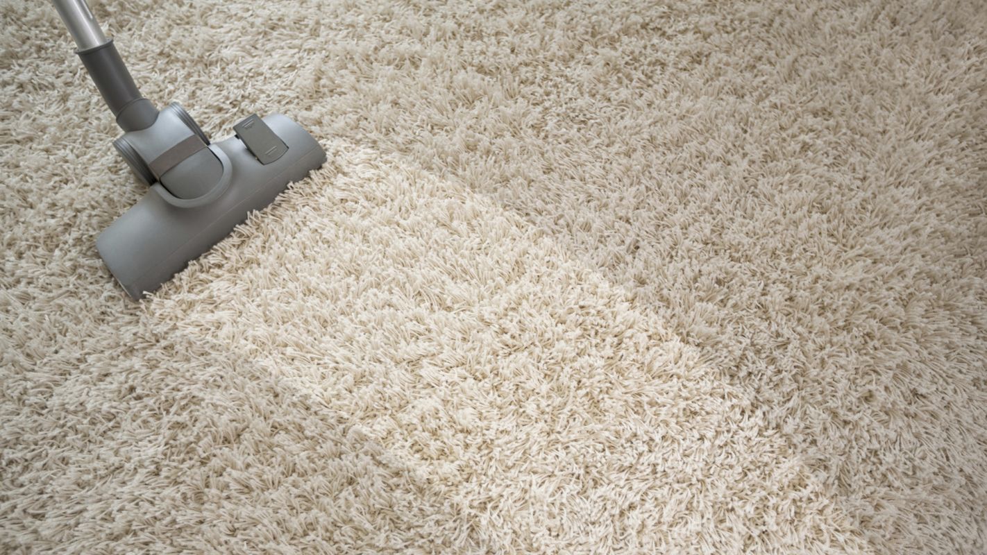 Carpet Cleaning Services Newton MA