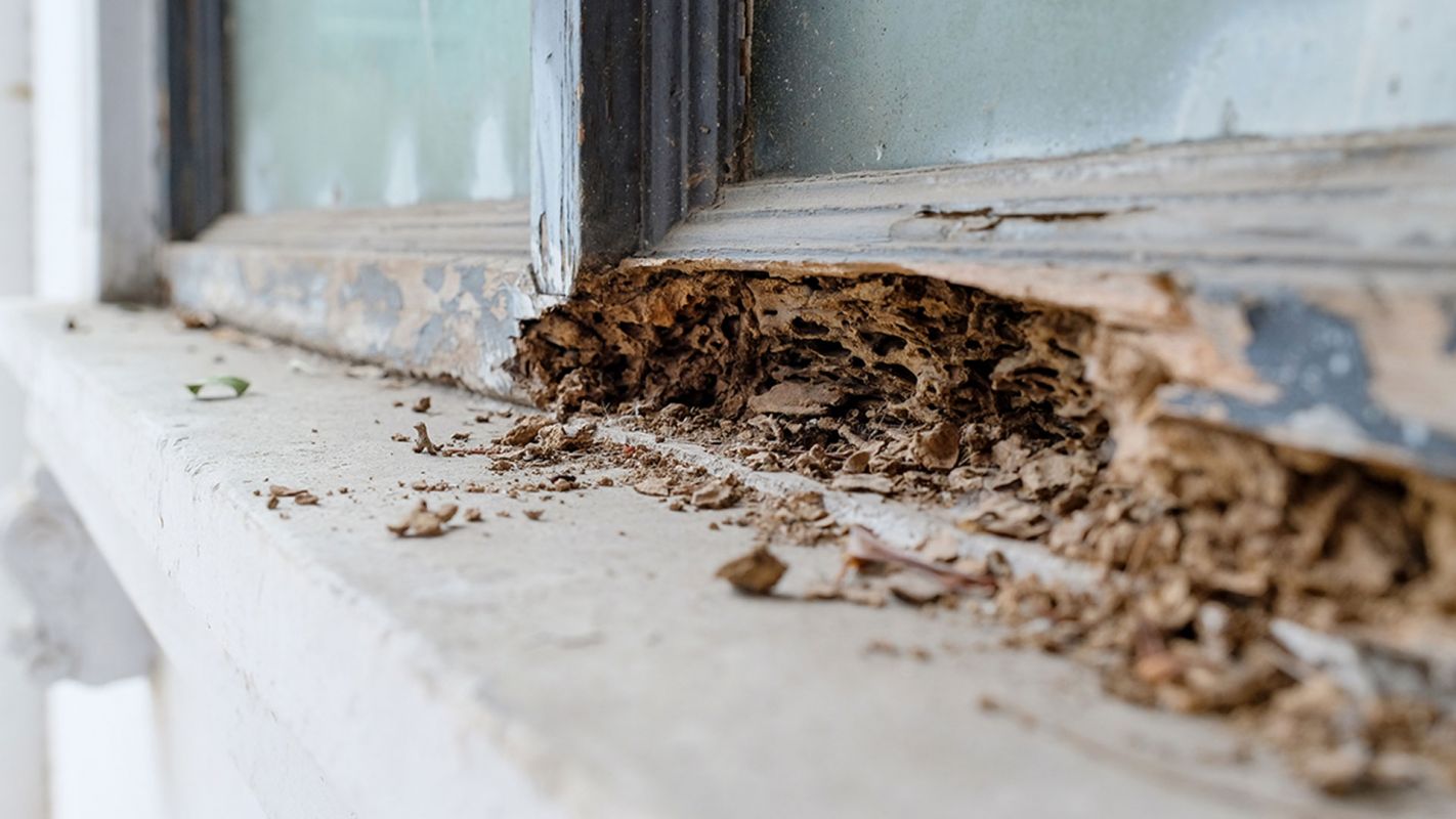 Termite Damage Control Suffolk County NY