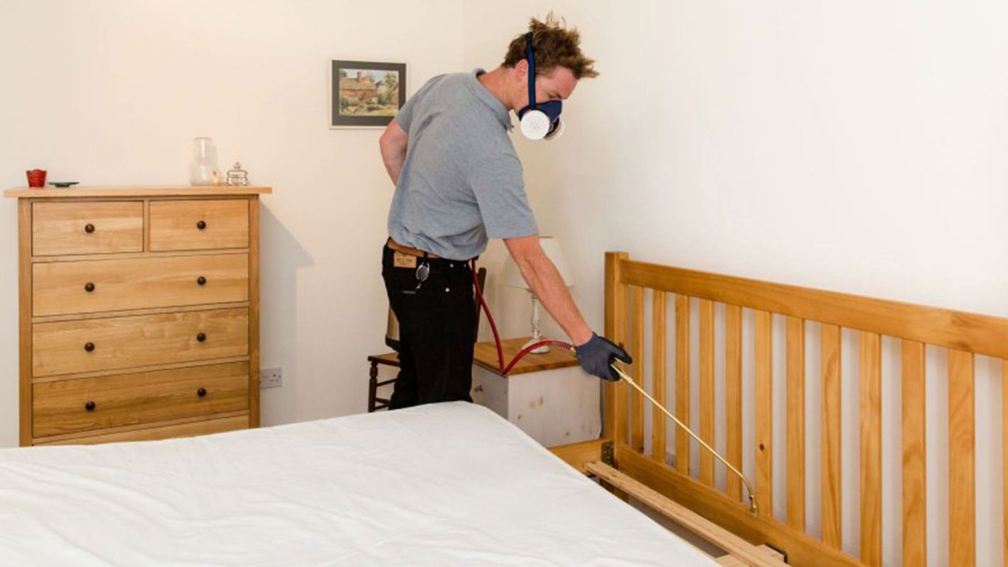 Bed Bug Control and Fumigation Manhattan NY