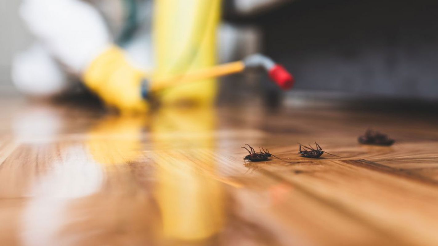 Cockroach Control Services Miami FL