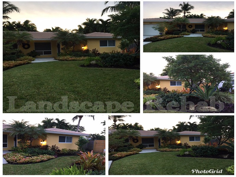 Excellent Landscape Services in Fort Lauderdale FL