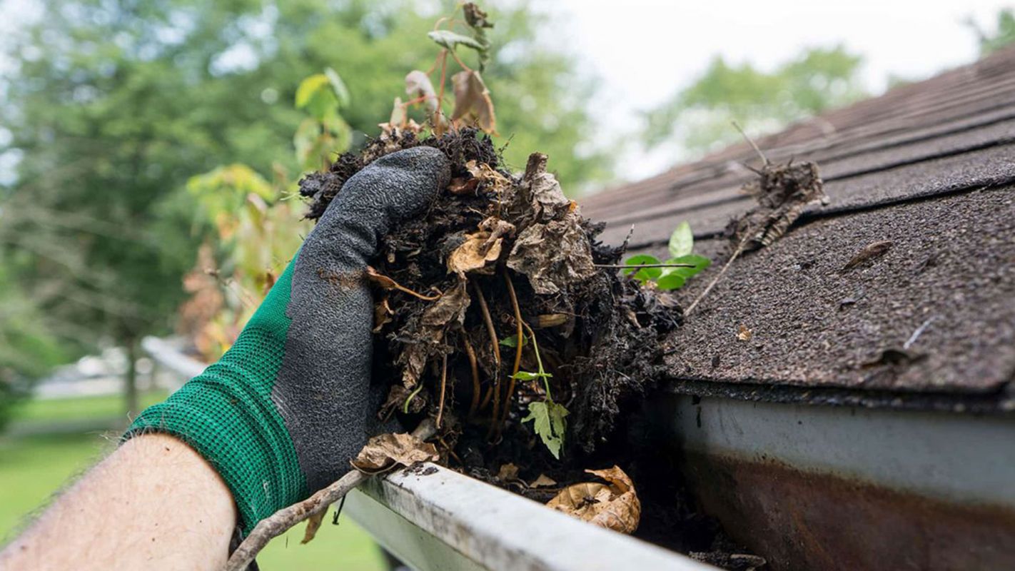 Gutter Cleaning Services Baytown TX