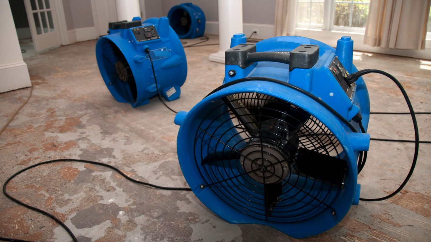 Water Removal Services Carrollton TX