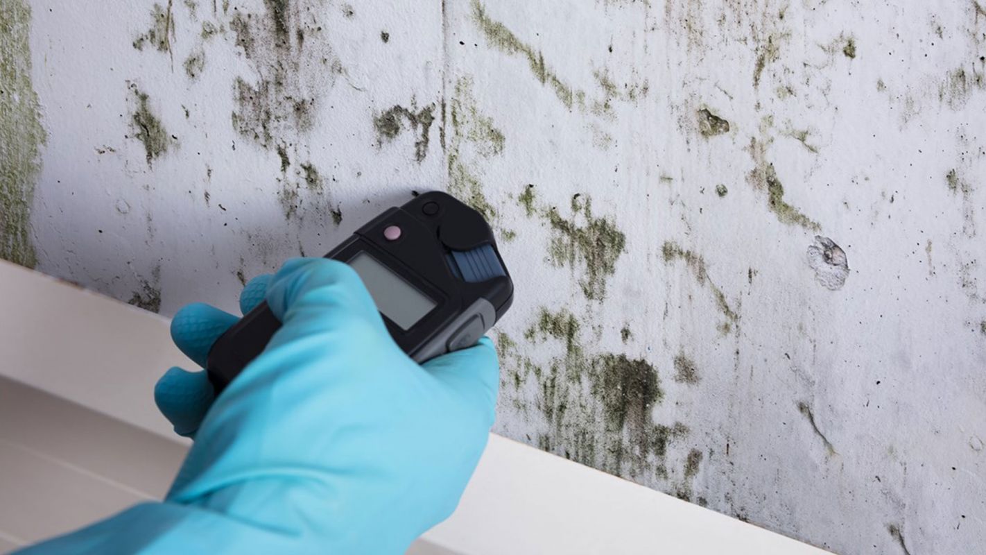 Mold Testing Service Fort Myers FL