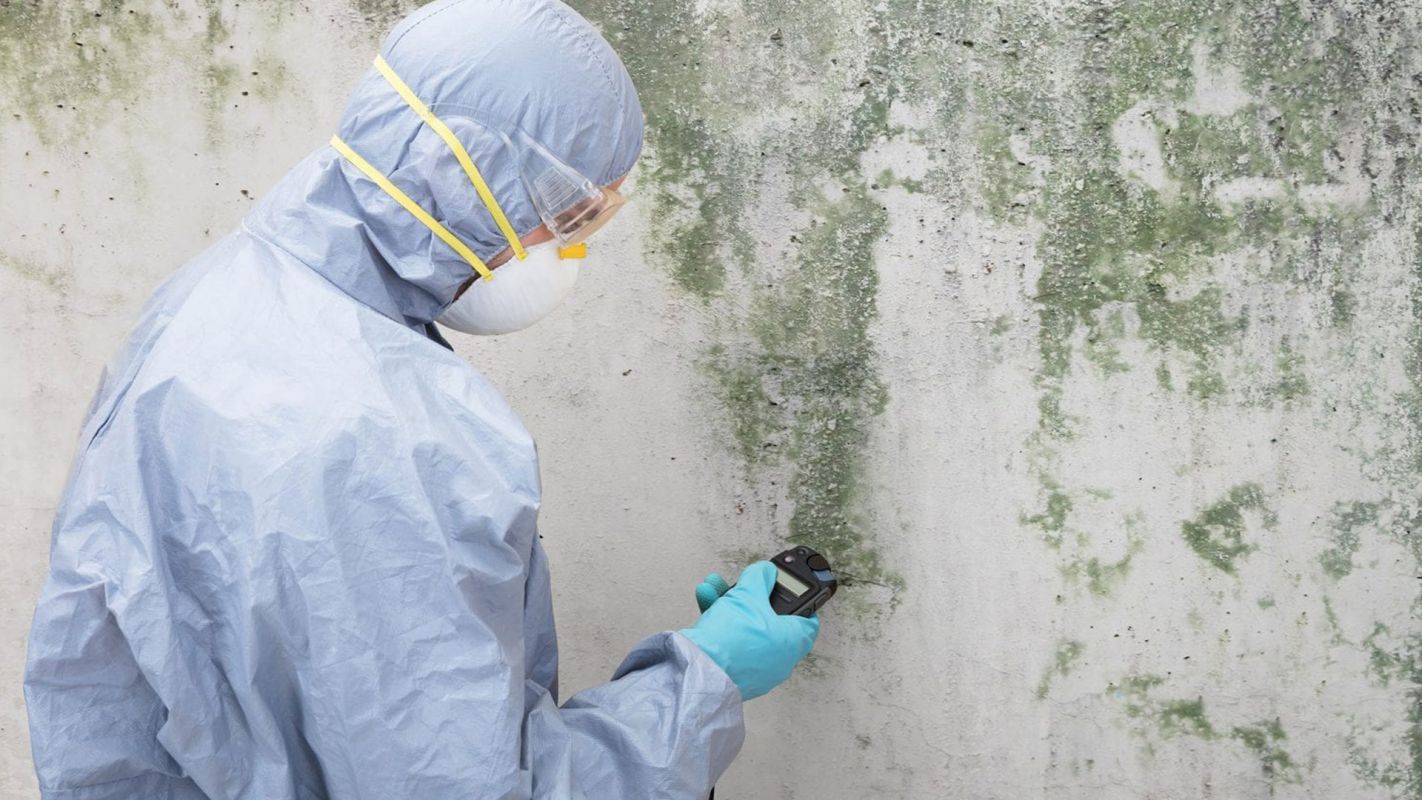 Mold Inspection Service Fort Myers FL