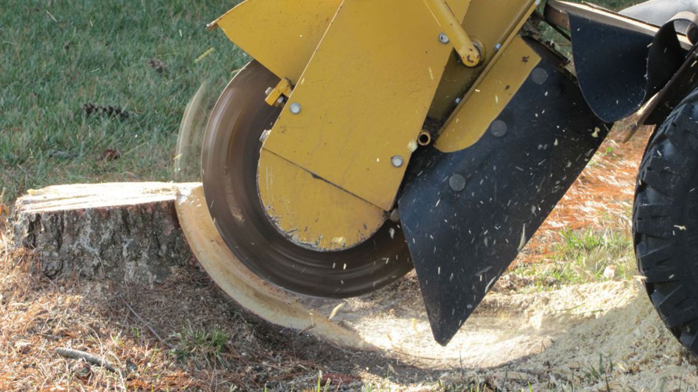 Stump Grinding Services Palmdale CA