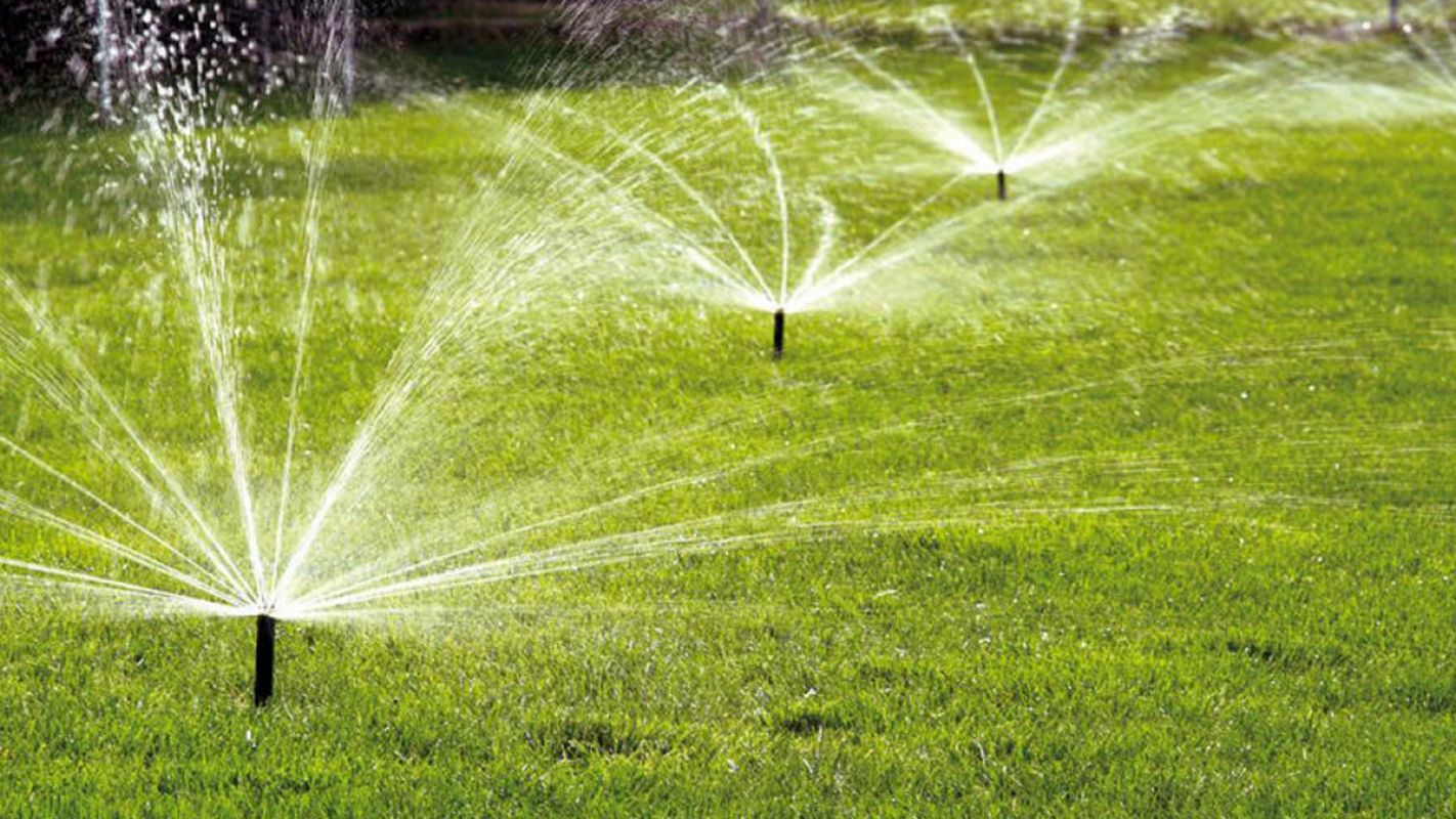 Backyard Sprinkler System Antioch TN