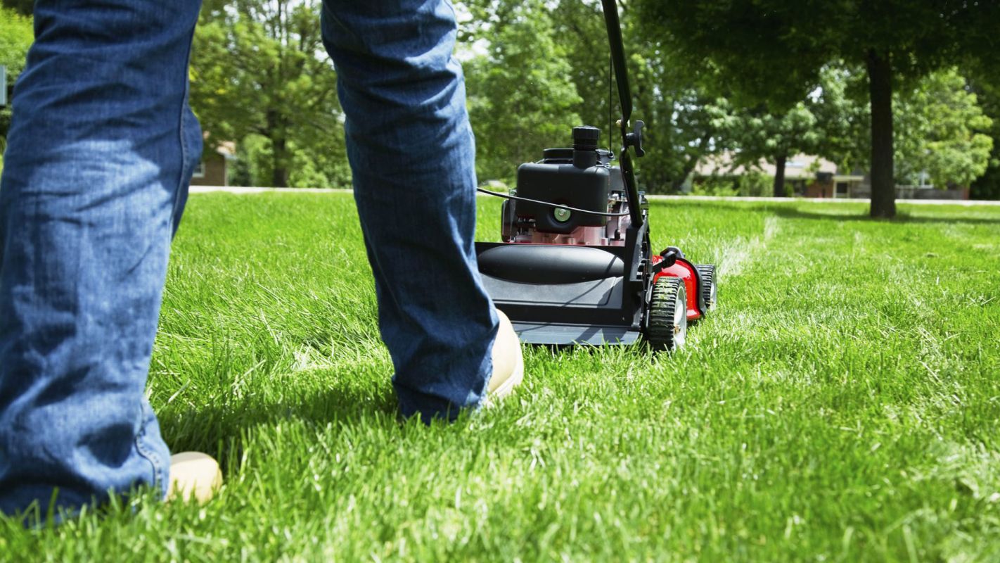 Lawn Maintenance Services Euless TX