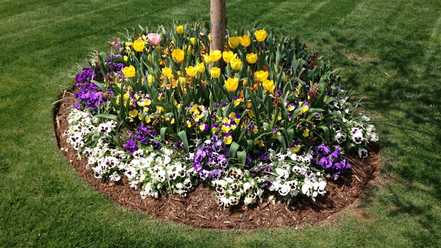 Flower Bed Services Dallas TX