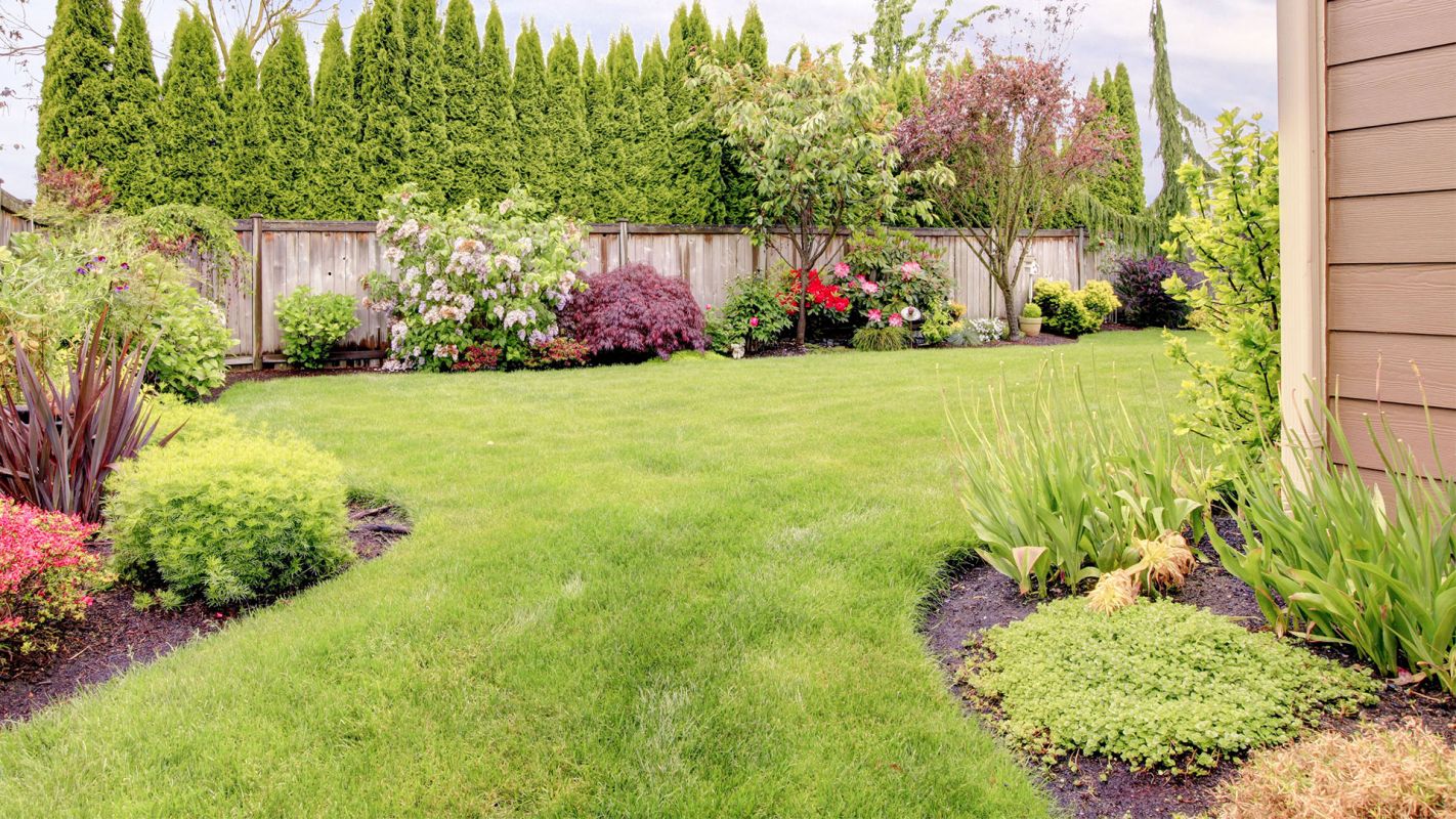 Landscaping Services Dallas TX