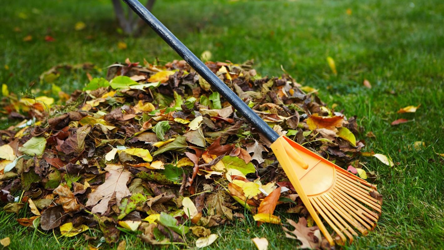 Lawn Cleaning Services North Valley NM