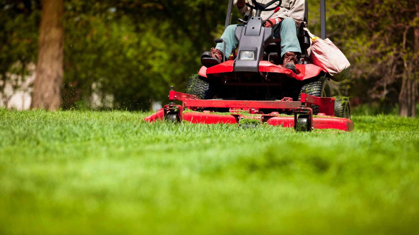 Best Lawn Care Services North Valley NM
