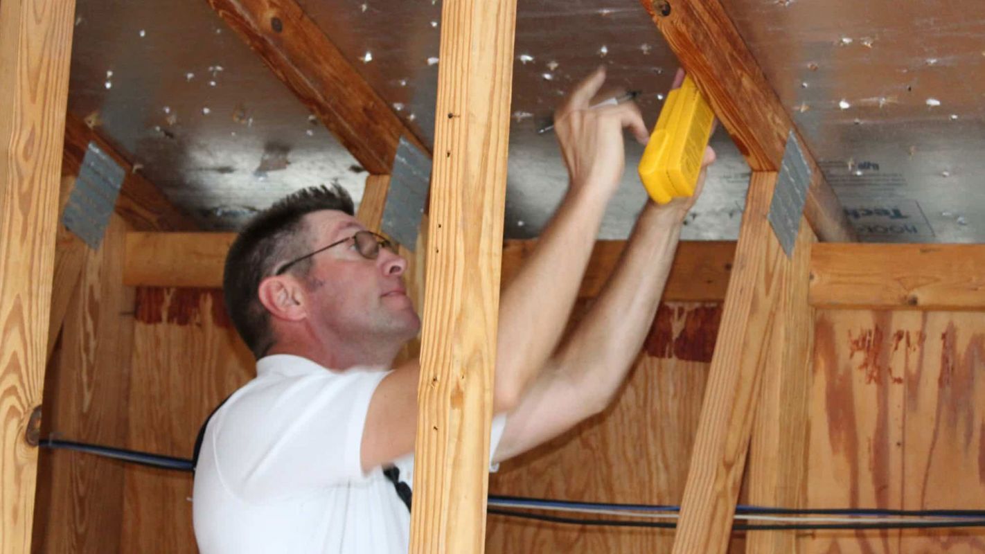 Best Termite Inspectors Green Valley AZ