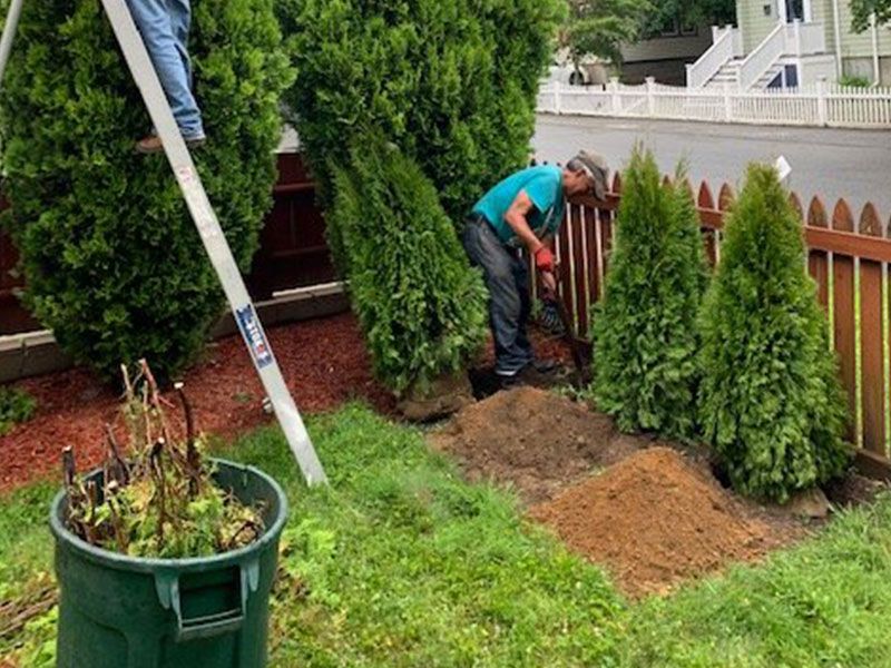 Landscaping Services Milton MA