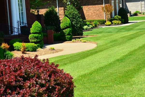 Landscaping Services Milton MA