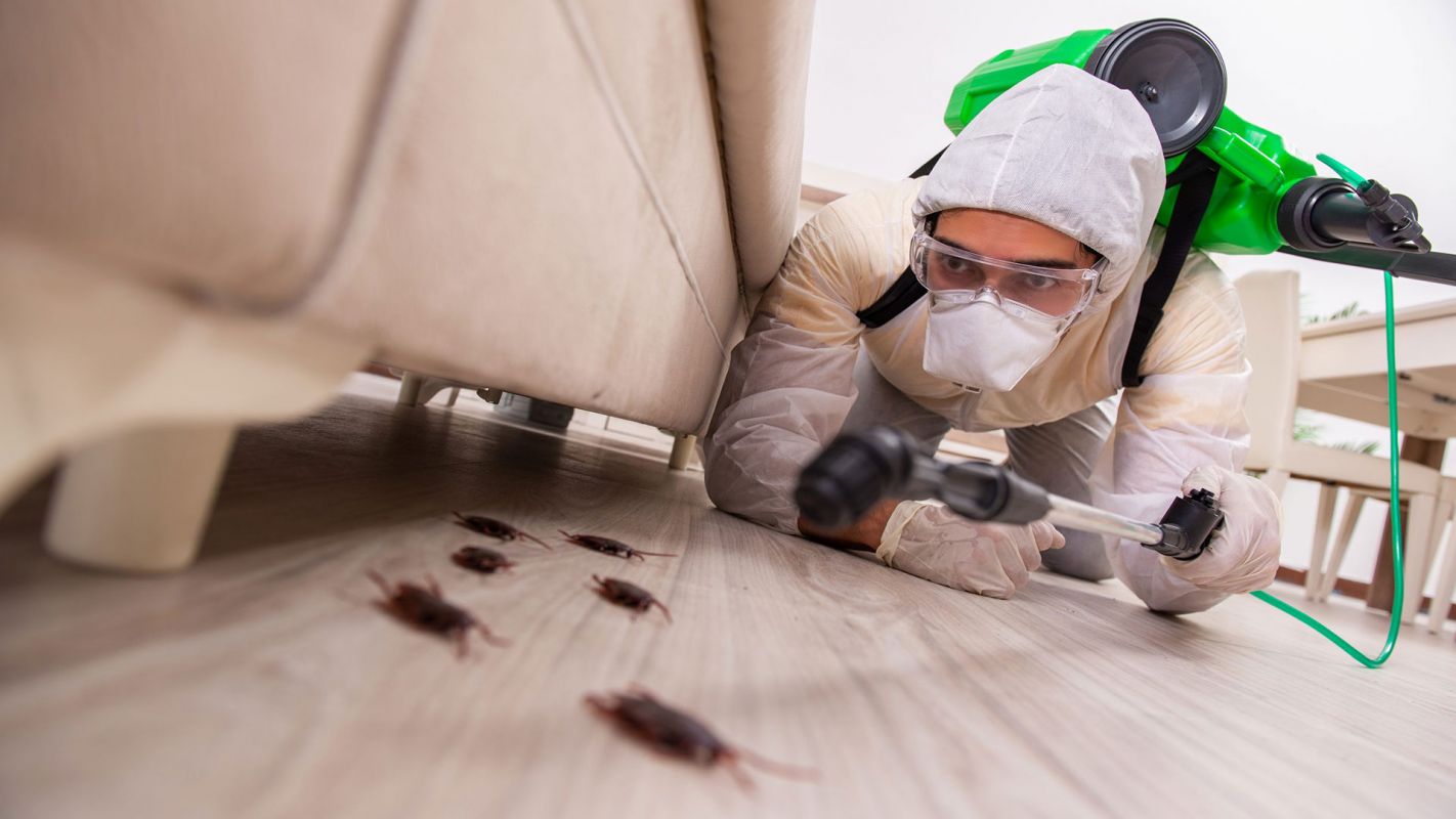 Home Pest Control Services Canarsie NY
