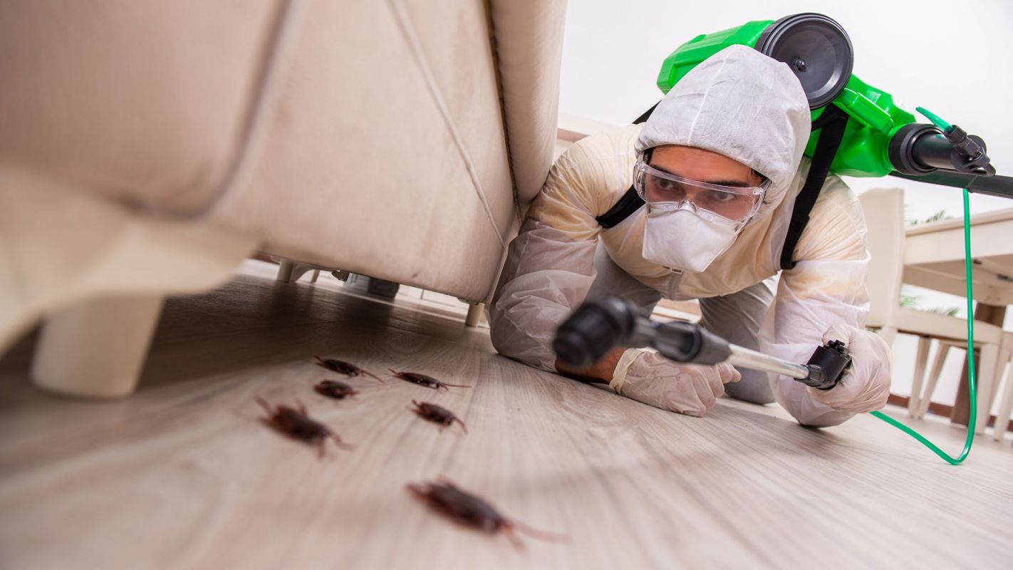 Home Pest Control Services Bay Ridge NY