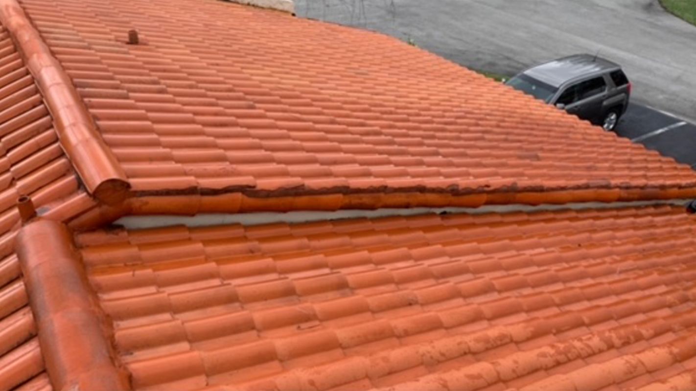 Residential Roof Cleaning Services Fort Lauderdale FL