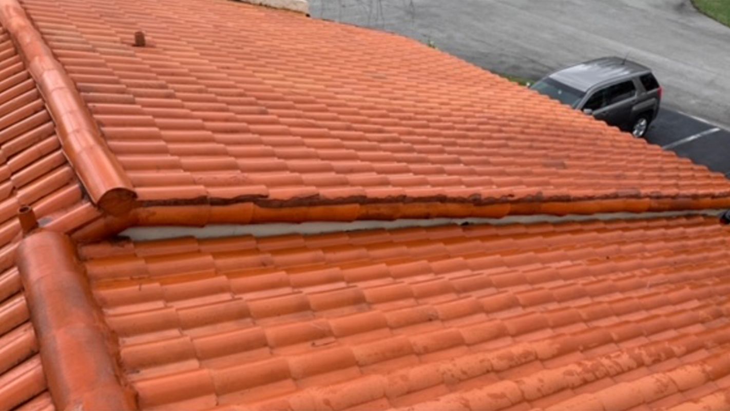 Roof Cleaning Services Hollywood FL