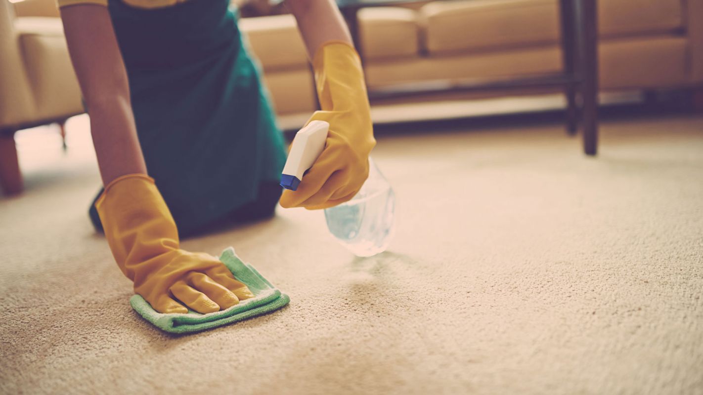 Carpet Stain Removal Highlands Ranch CO