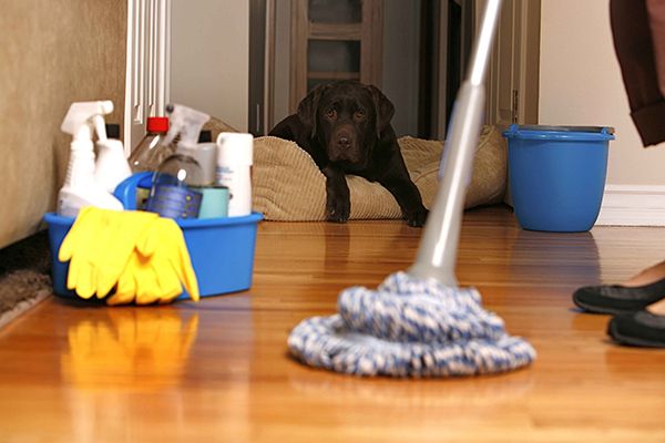 Janitorial Services Tewksbury MA
