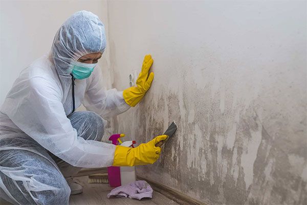 Affordable Mold Testing Roswell GA