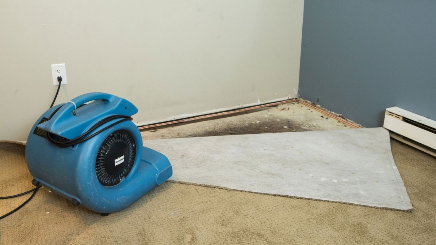 Water Damage Restoration Service Woodland Hills CA