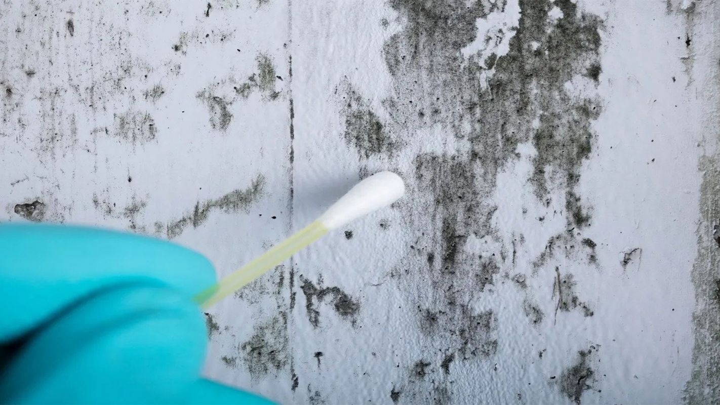 Mold And Moisture Inspection Ventura County CA