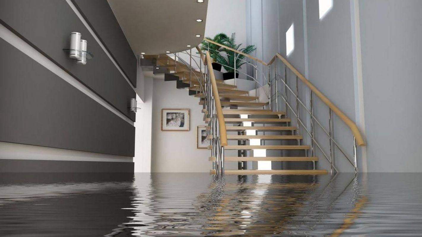 Basement Flood Cleanup Services St. Clair Shores MI